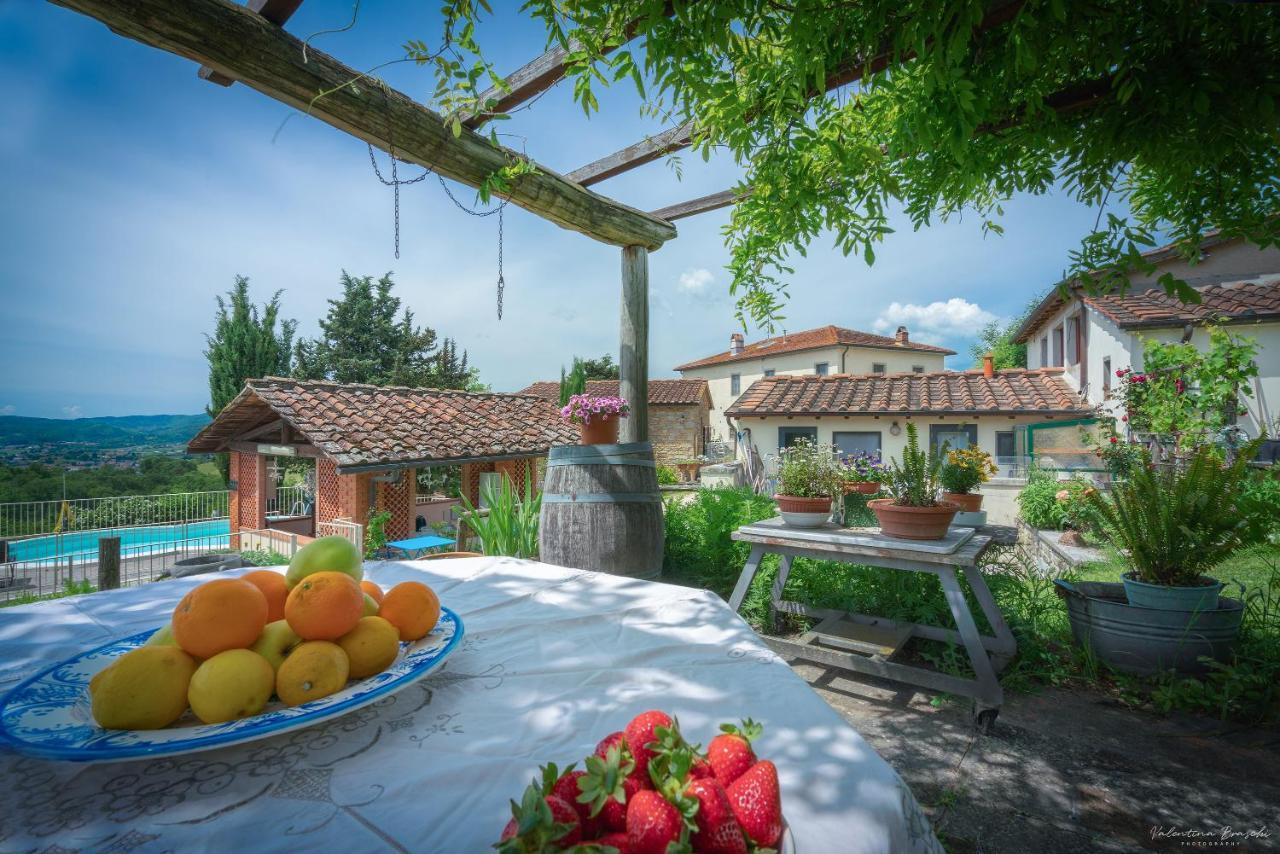 Agriturismo Corzano Barberino di Mugello Eksteriør billede